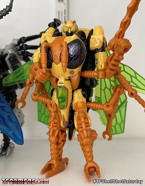 Beast Wars Fox Kids Repaints   TFShelfShotSaturday  (10 of 11)